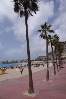 GC-Playa Amadores 2021-04.JPG